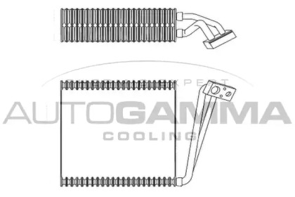 AUTOGAMMA 112088