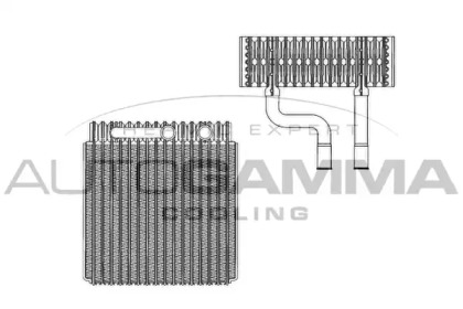 AUTOGAMMA 112102