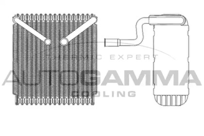 AUTOGAMMA 112105