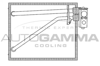 AUTOGAMMA 112109