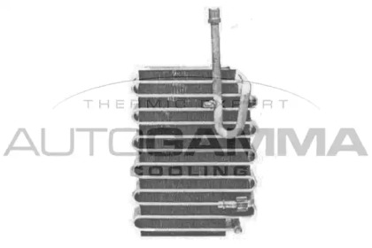 AUTOGAMMA 112111