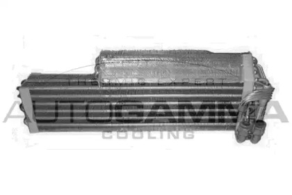 AUTOGAMMA 112161
