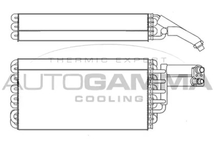 AUTOGAMMA 112163