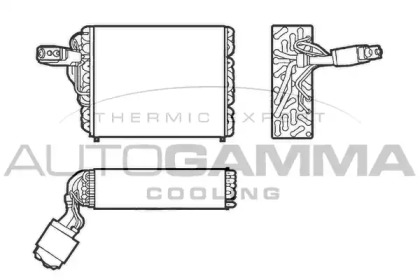 AUTOGAMMA 112207