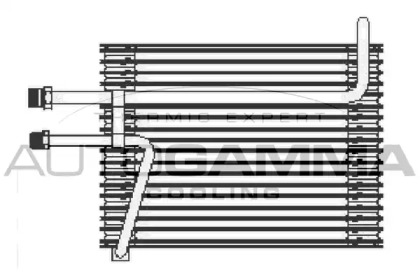 AUTOGAMMA 112210