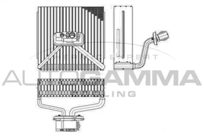 AUTOGAMMA 112218