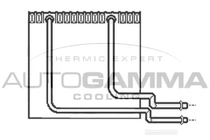 AUTOGAMMA 112220