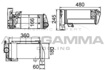 AUTOGAMMA 300999