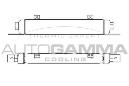 AUTOGAMMA 303700