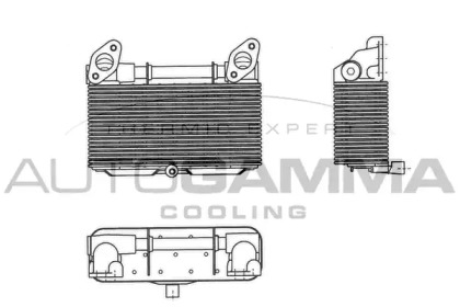 AUTOGAMMA 303712