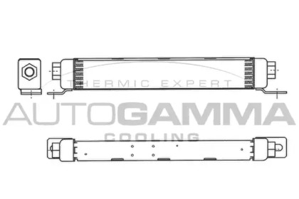 AUTOGAMMA 304476