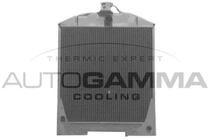 AUTOGAMMA 400564