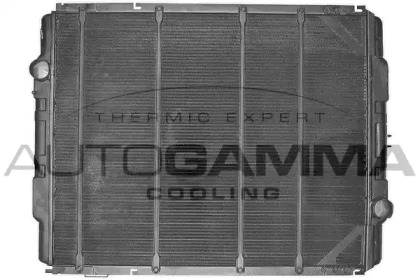 AUTOGAMMA 401010