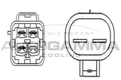 AUTOGAMMA GA220618