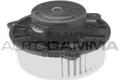 AUTOGAMMA GA20063