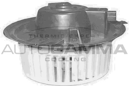 AUTOGAMMA GA20141