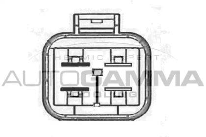 autogamma ga228006