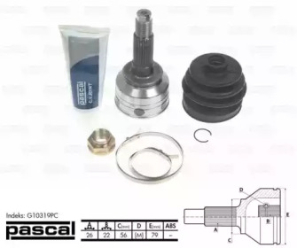 pascal g10319pc
