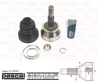 pascal g11079pc