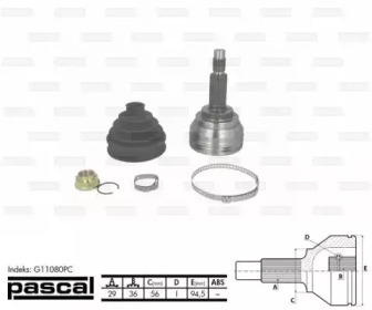 pascal g11080pc