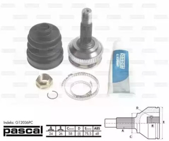 pascal g12036pc