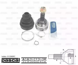 pascal g12080pc