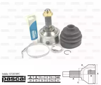 pascal g13018pc