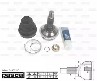 pascal g13031pc