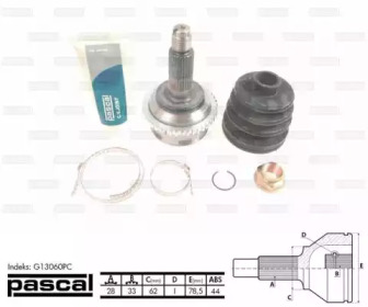 pascal g13060pc