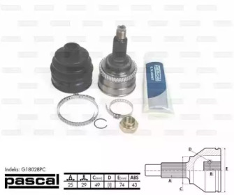 pascal g18028pc
