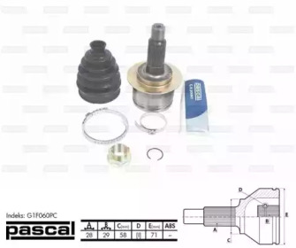 pascal g1f060pc