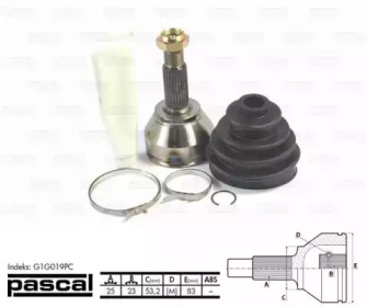 pascal g1g019pc