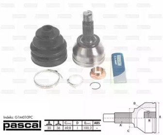 pascal g1m010pc
