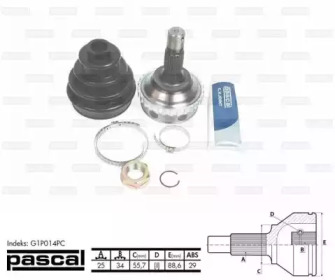 pascal g1p014pc