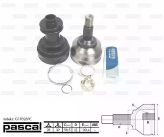 pascal g1p026pc