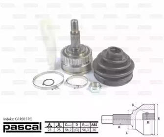 pascal g1r011pc