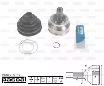 pascal g1v019pc