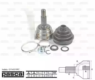 pascal g1w019pc