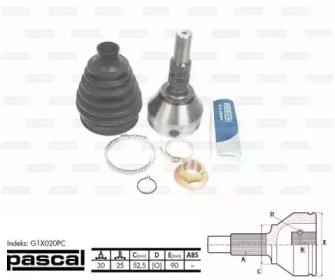 pascal g1x020pc