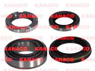 KANACO H20310