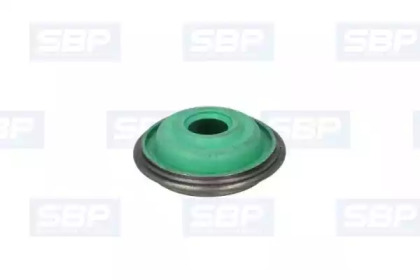 SBP 12-IV005