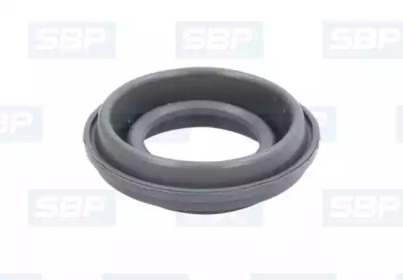 SBP 12-VO009
