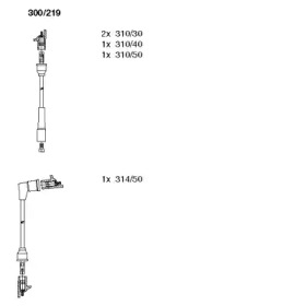 BREMI 300219