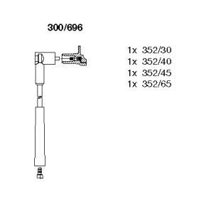 BREMI 300696