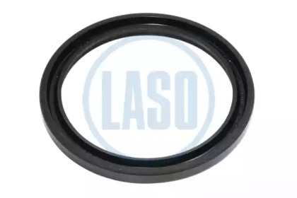 LASO D06504029