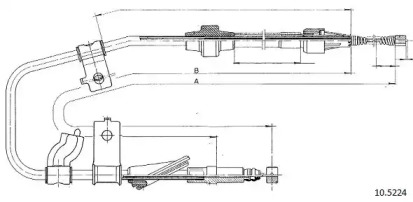 CABOR 10.5224