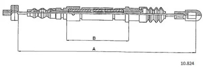 CABOR 10.824