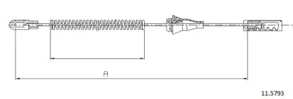 CABOR 11.5793