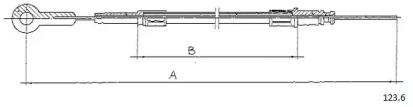 CABOR 123.6