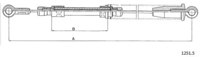 CABOR 1251.5